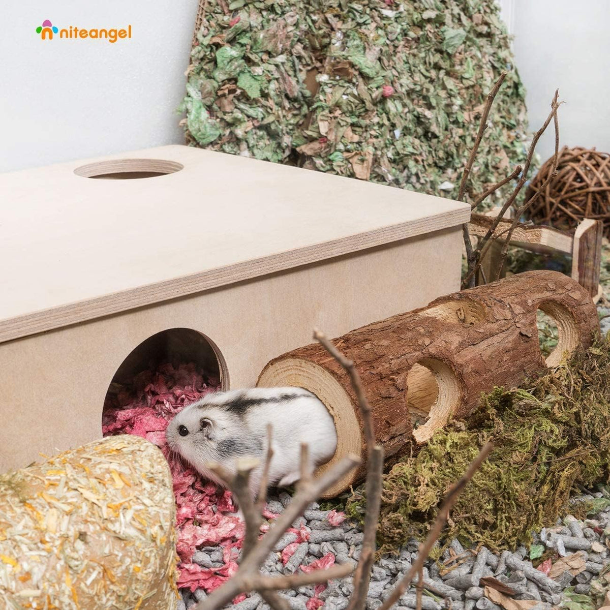 Wooden Hamster Tunnel | A Natural Hideout for Small Pets