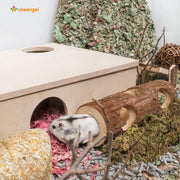 Wooden Hamster Tunnel | A Natural Hideout for Small Pets