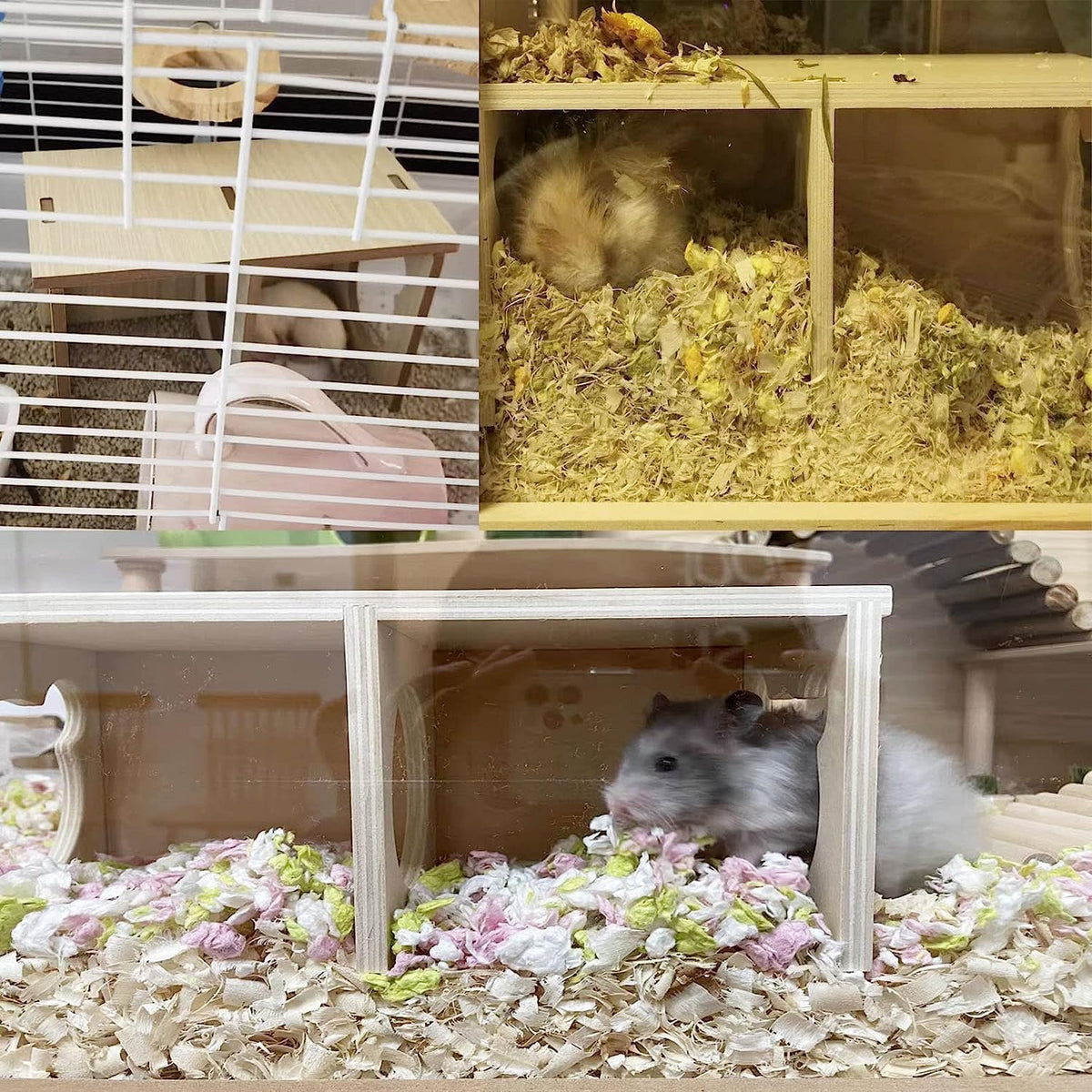 Wooden Hamster Hideout Maze | More Ways to Explore and Nest