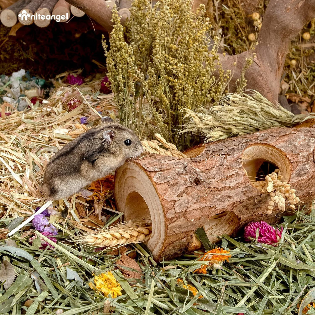 Wooden Hamster Tunnel | A Natural Hideout for Small Pets
