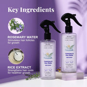 Nature X Science Rosemary Water and Rice Water |100% Natural Extract | Soft & Smooth Hair Non-Greasy & Fast Absorbing | 200 Ml
