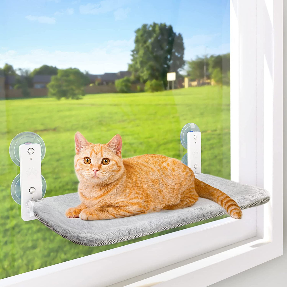 Foldable Cat Window Perch | A Soft Spot for Sunny Naps