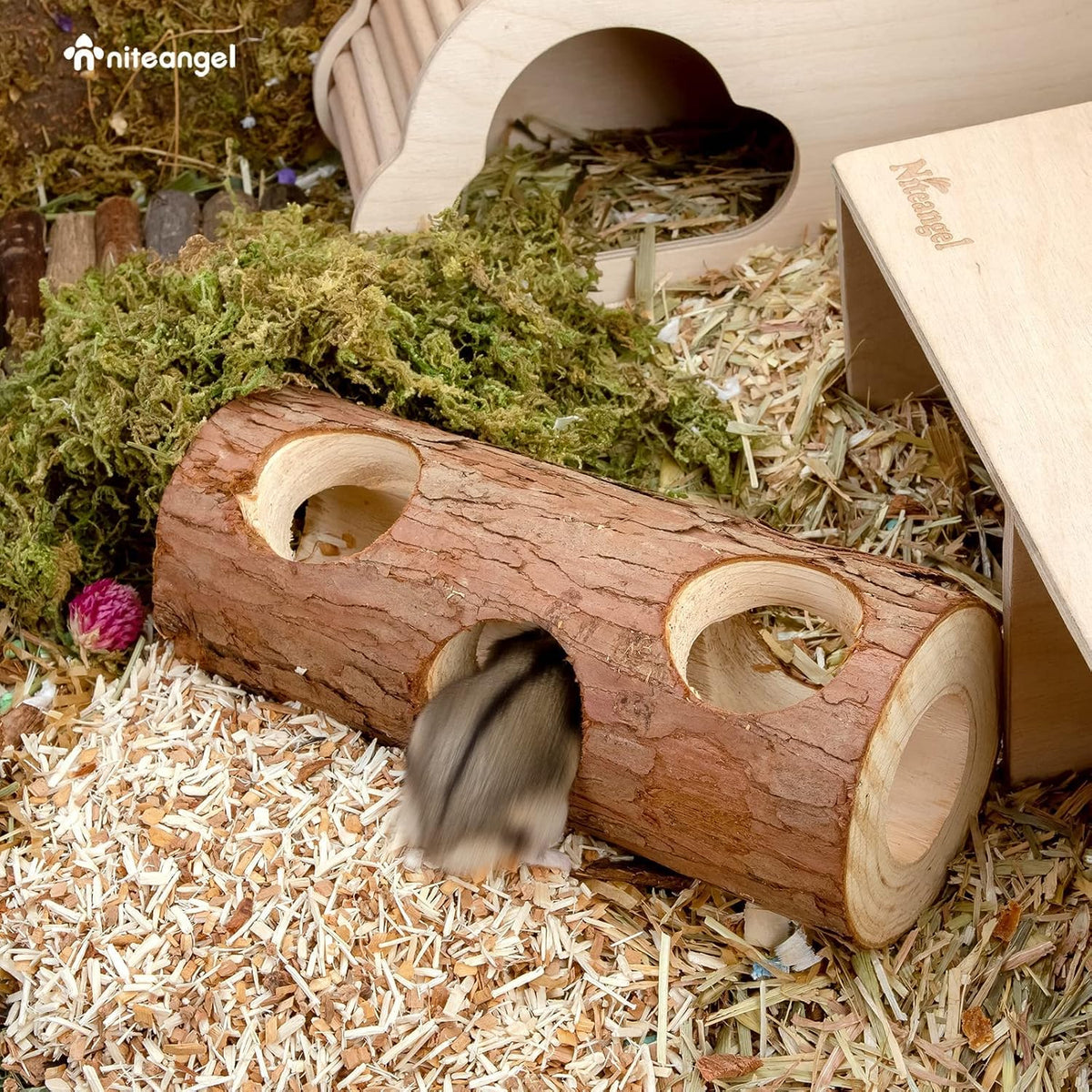 Wooden Hamster Tunnel | A Natural Hideout for Small Pets