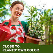 Stackable Plant Support Stakes | Guide Climbing Plants with Ease
