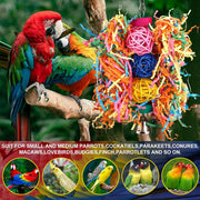 Bird Rope Perch with Bell | A Playful Place to Climb and Chew