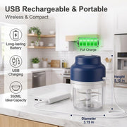 Electric Garlic Chopper, Mini Portable Veggie Chopper 350ML 