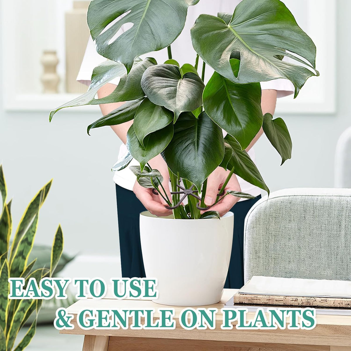 Plant Stem Support Clips | Help Indoor Plants Stay Upright