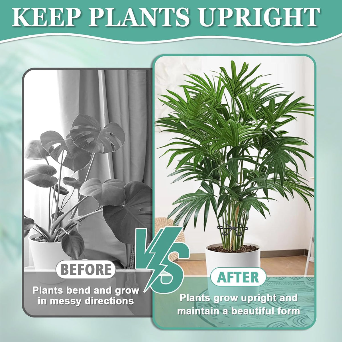 Plant Stem Support Clips | Help Indoor Plants Stay Upright