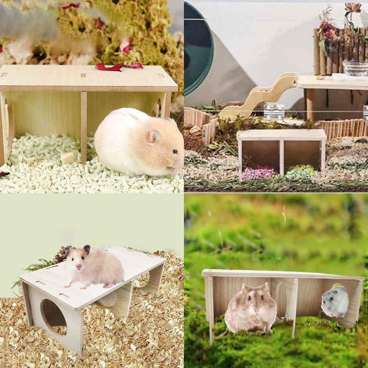 Wooden Hamster Hideout Maze | More Ways to Explore and Nest