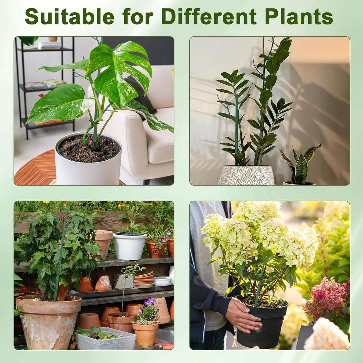 Stackable Plant Support Stakes | Guide Climbing Plants with Ease
