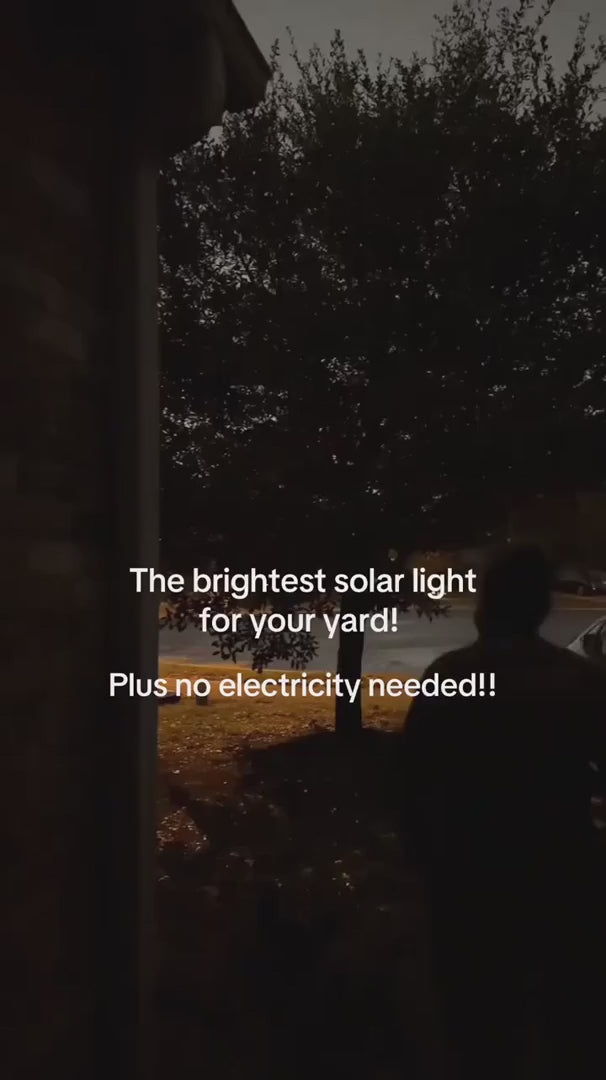 Solar motion light illuminating a backyard route after dark
