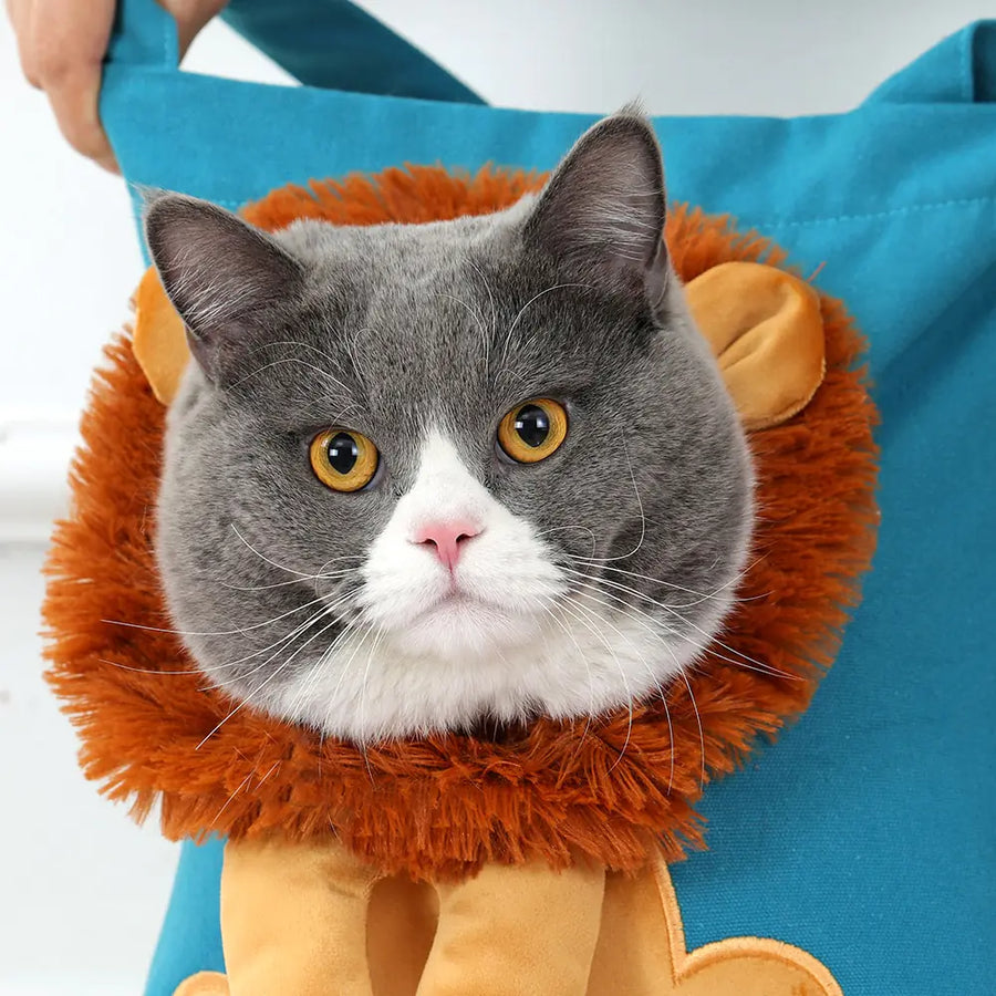 Presents Pet Carriers | Pet Accessories | Pet Supplies | Pet Travel